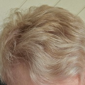 Photo submitted by Anne