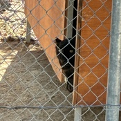 Photo submitted by Groupon