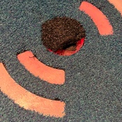 Photo submitted by Jeannie