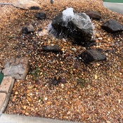 Photo submitted by rashad