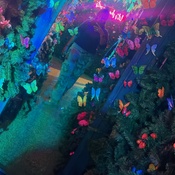 Photo submitted by Zuri