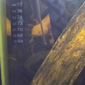 Photo submitted by Chloa