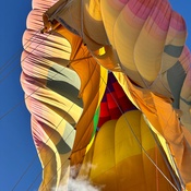 Photo submitted by Kanisha