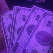 Photo submitted by Guest