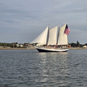 Photo submitted by Claudia