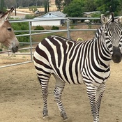 Photo submitted by TRACI