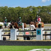 Photo submitted by Theresa