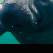 Photo submitted by Rachel