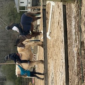 Photo submitted by Liz