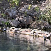 Photo submitted by Laura