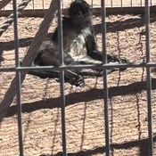 Photo submitted by Becca