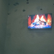 Photo submitted by Jazmyne