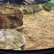 Photo submitted by Eli