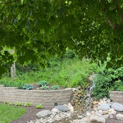 Photo submitted by Debra