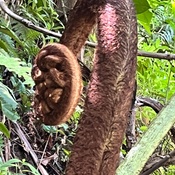 Photo submitted by Cathrine