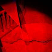 Photo submitted by Sarah