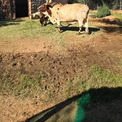 Photo submitted by Christina