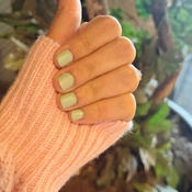 Photo submitted by Guest