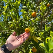 Photo submitted by Guest