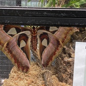 Photo submitted by Elvia