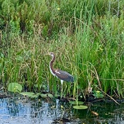 Photo submitted by Tammy