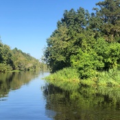 cajun pride swamp tour groupon