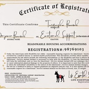 Photo submitted by Turquisha