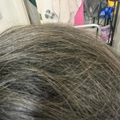 Photo submitted by lizbeth