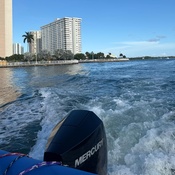 Photo submitted by brianna