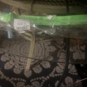 Photo submitted by Ray