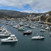 Photo submitted by Vito