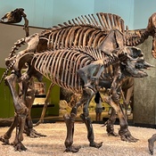 Photo submitted by Barbara