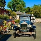 Photo submitted by Laura