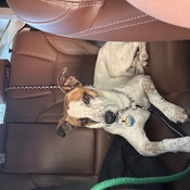 Photo submitted by Dawn