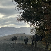 Photo submitted by Guest