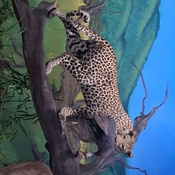 Photo submitted by CiCi