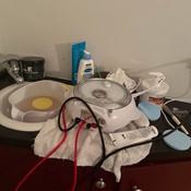 Photo submitted by Guest