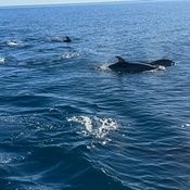 Photo submitted by Diana