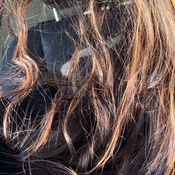 Photo submitted by safa