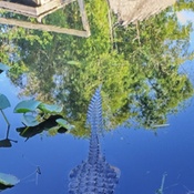 Photo submitted by Jason