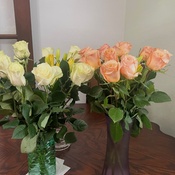 Photo submitted by twyma