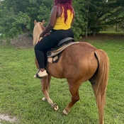 Photo submitted by jessica