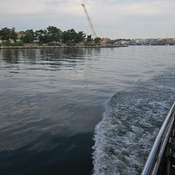 Photo submitted by Kendall