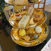 Photo submitted by Trish