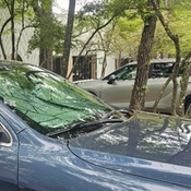 Photo submitted by Jerry