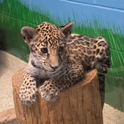 Photo submitted by Cathy