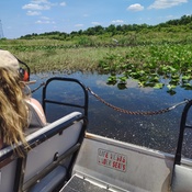 Photo submitted by cheryl