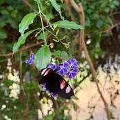 Photo submitted by Lisa