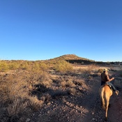 Photo submitted by Jamie