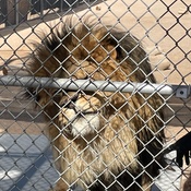 Photo submitted by Janice